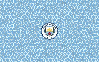 IM电竞-勒诺尔芒抢断后快速推进